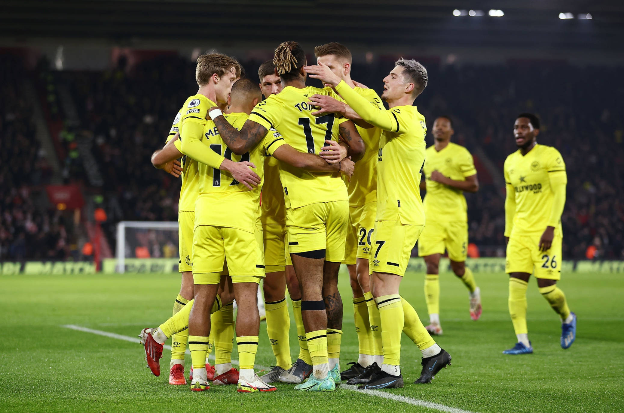 他人的选择 他人的选择